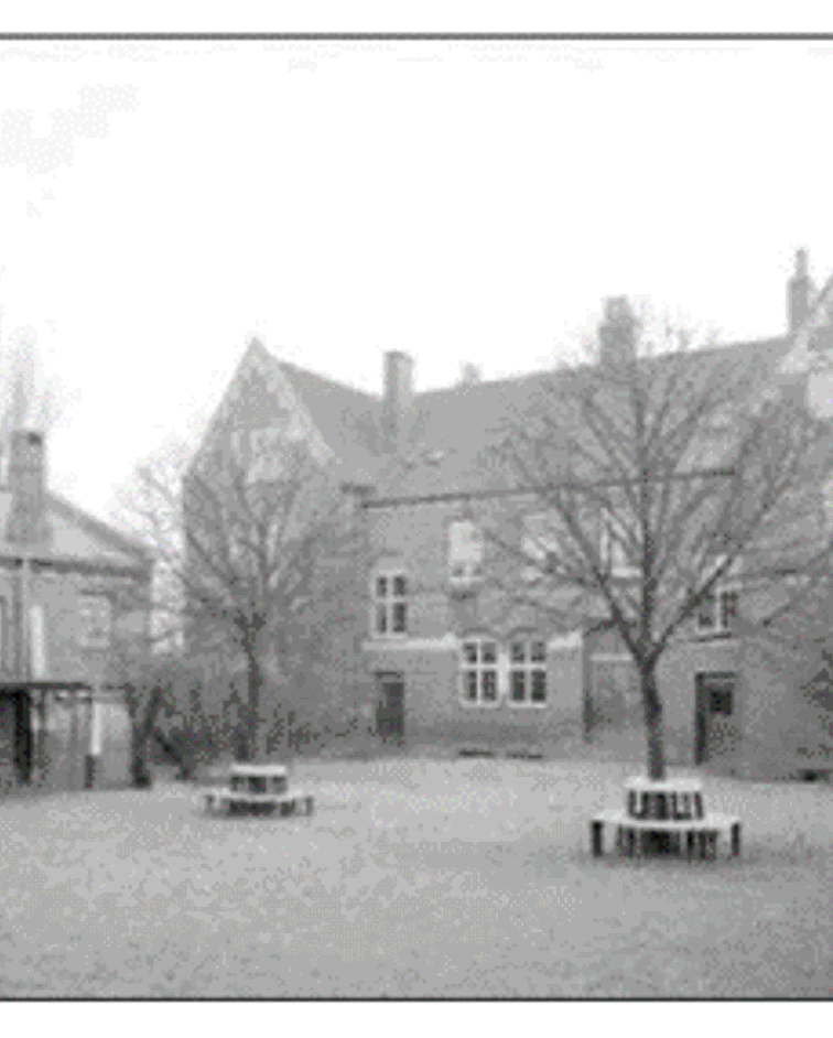 Image1